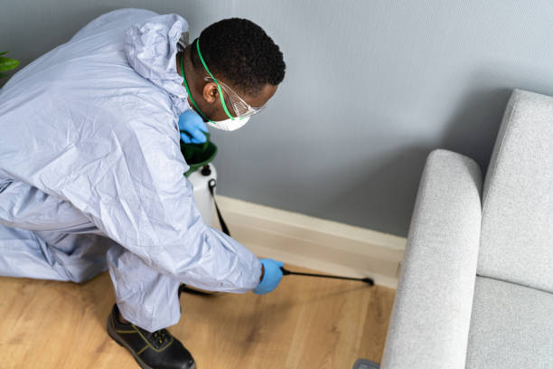 Pest Control for Hotels in Pocomoke City, MD